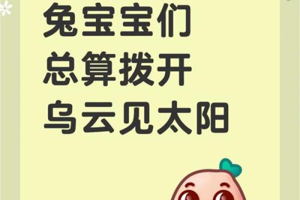 属兔2025年运程_2025年属兔运势测算