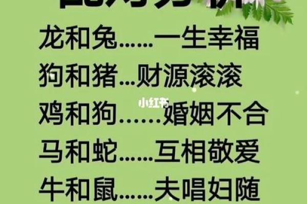 祸不单行是什么生肖(祸不单行是什么生肖正确答案) 祸不单行是什么生肖(祸不单行是什么生肖正确答案)