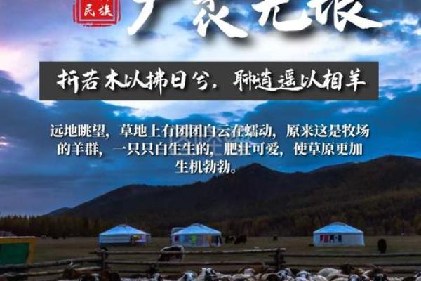 十羊九牧是什么生肖(十羊九牧是什么生肖正确答案)