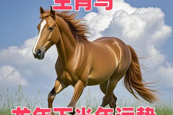 龙年属马人的运势如何 龙年属马人2024全年每月运势详解 龙年属马人的运势如何 龙年属马人2024全年每月运势详解