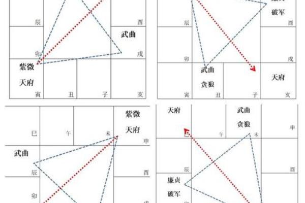 2025年2月25日子时男命紫微斗数全解盘 2025年2月25日子时男命紫微斗数全解盘