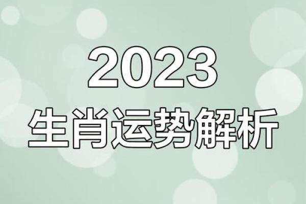 2023年最旺最顺的生肖