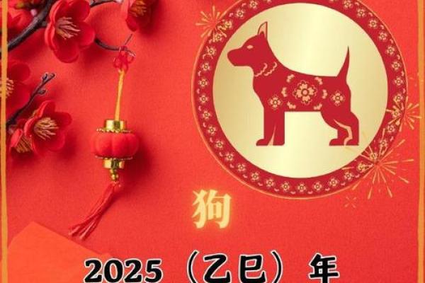 2025年属狗女人的全年运势1982出生_1982属狗43岁后有十年大运 2025年属狗女人的全年运势1982出生_1982属狗43岁后有十年大运