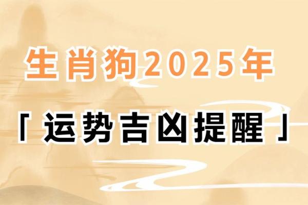 2025年属狗运势解析事业财运感情全攻略