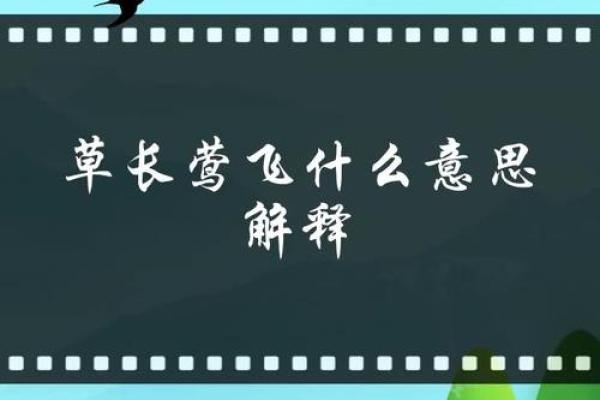 草长莺飞是什么生肖(草长莺飞是什么生肖动物) 草长莺飞是什么生肖(草长莺飞是什么生肖动物)