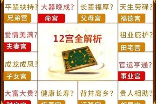 2025年3月11日子时女命紫微斗数全解盘 2025年3月11日子时女命紫微斗数全解盘