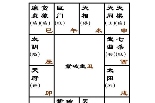 2025年2月15日寅时男命紫微斗数全解盘 2025年2月15日寅时男命紫微斗数全解盘