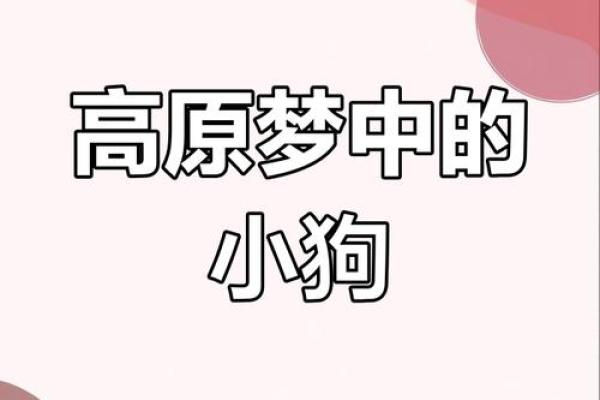 梦见小狗 梦见小狗