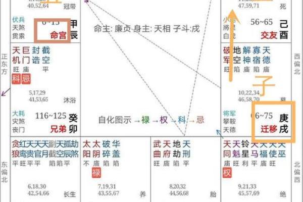 2025年2月26日丑时女命紫微斗数全解盘 2025年2月26日丑时女命紫微斗数全解盘