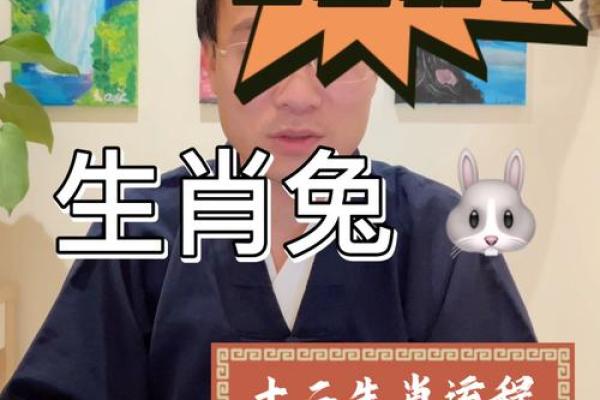 2021年属兔人的全年运势