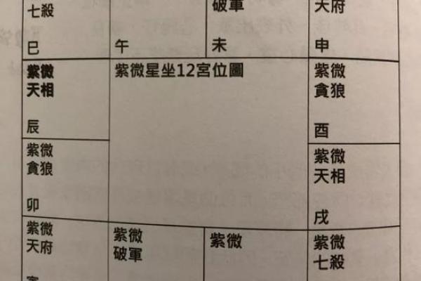 2025年2月21日卯时男命紫微斗数全解盘 2025年2月21日卯时男命紫微斗数全解盘