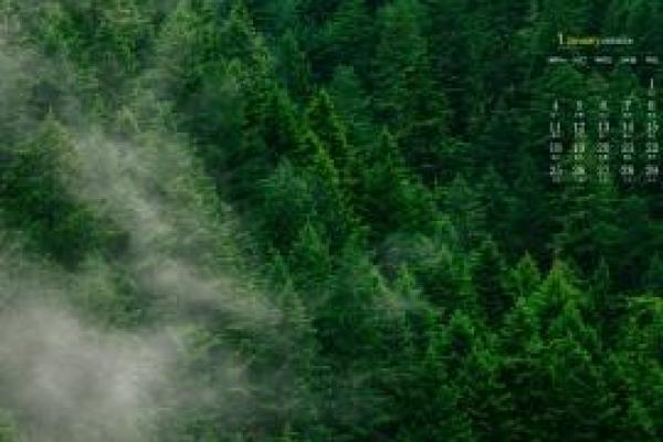 2016年11月 2016年11月