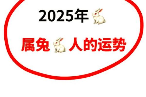 2025年属兔每月运势及运程农历网 2025年属相运势及运程