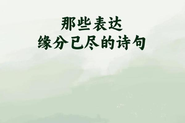 缘分的近义词 缘分的近义词有哪些呢