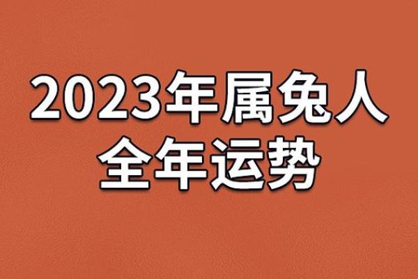 1987属兔37岁以后运气_1987属兔37岁后运势解析未来十年运程大揭秘 1987属兔37岁以后运气_1987属兔37岁后运势解析未来十年运程大揭秘