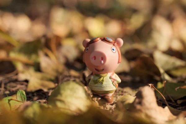 1983年属猪41岁有一道坎_83年的猪二婚在哪一年 1983年属猪41岁有一道坎_83年的猪二婚在哪一年