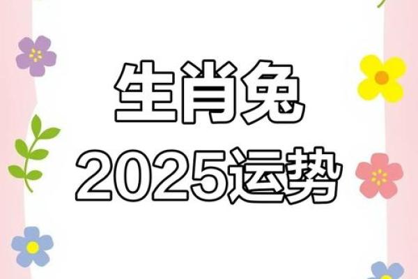 2025年兔生肖运势 2025年运势兔生肖运势详解 2025年兔生肖运势 2025年运势兔生肖运势详解