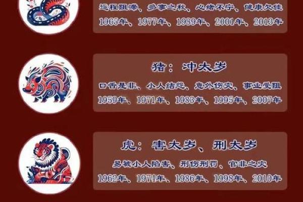 2025属猪人_2025属猪人犯太岁戴什么好