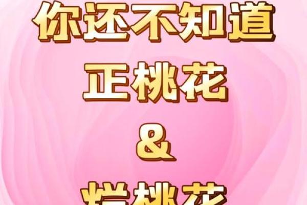 属猪2025年桃花劫遇真爱 2025属猪的烂桃花是谁 属猪2025年桃花劫遇真爱 2025属猪的烂桃花是谁