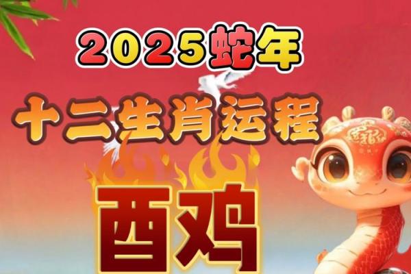 属鸡蛇年运势2025年 属鸡蛇年运势2025年运程 属鸡蛇年运势2025年 属鸡蛇年运势2025年运程