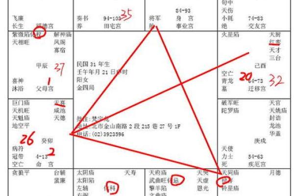 2025年3月2日子时女命紫微斗数全解盘 2025年3月2日子时女命紫微斗数全解盘