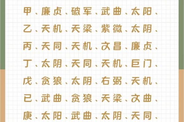 2025年2月23日卯时男命紫微斗数全解盘 2025年2月23日卯时男命紫微斗数全解盘
