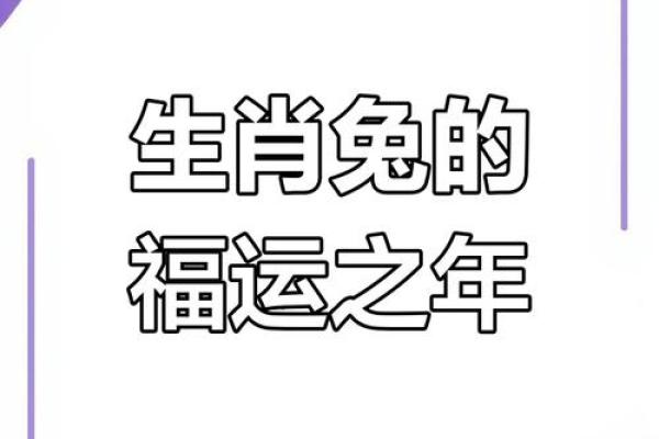 2025年属兔人的全年运势详解 2025年属兔人全年运势详解财运事业感情全解析 2025年属兔人的全年运势详解 2025年属兔人全年运势详解财运事业感情全解析