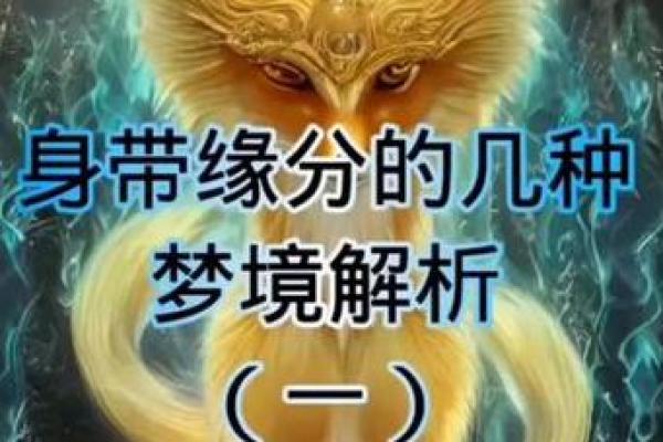 有缘分的人梦境解析 带仙缘的500种梦境