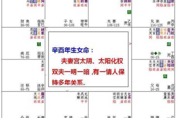 2025年3月21日子时女命紫微斗数全解盘 2025年3月21日子时女命紫微斗数全解盘