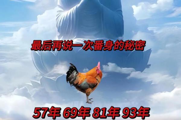 69年属鸡2025年多少岁_69年的鸡2021年几岁