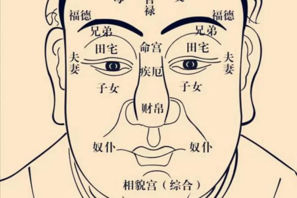 2025年2月26日卯时男命紫微斗数全解盘 2025年2月26日卯时男命紫微斗数全解盘