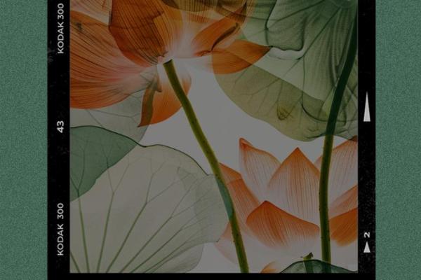 缘分尽了 缘分尽了如何优雅地告别与重新开始