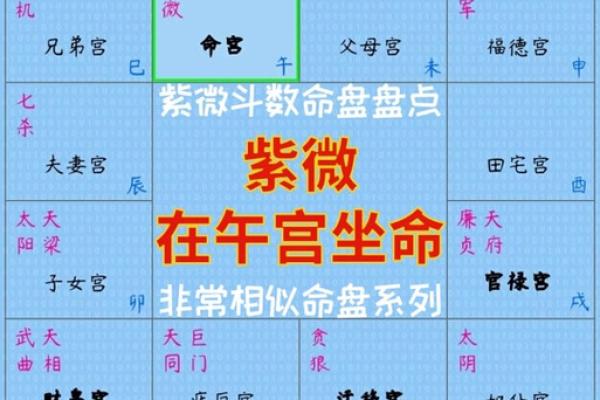 2025年2月22日丑时男命紫微斗数全解盘 2025年2月22日丑时男命紫微斗数全解盘