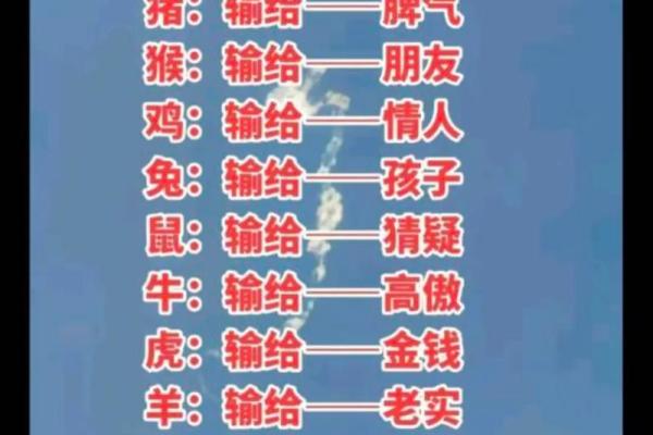 2024年运势星座运势详解 2024年12生肖运势解析完整版 2024年运势星座运势详解 2024年12生肖运势解析完整版