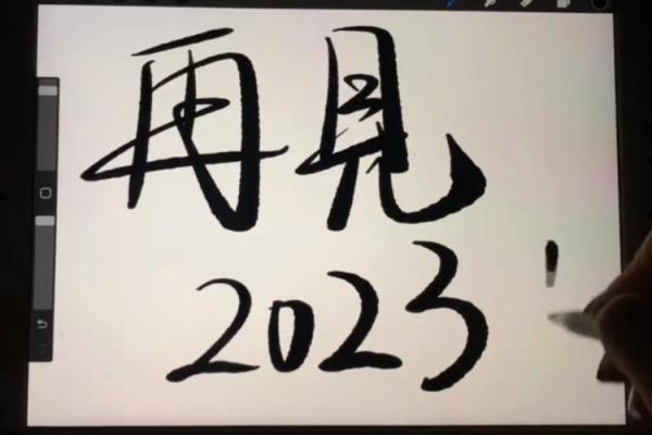 2023年再见 2023年再见