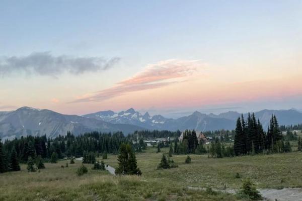 缘分妙不可言命运交织的奇妙旅程
