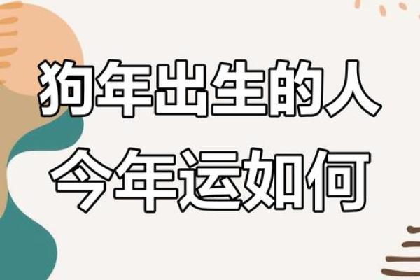 属狗人2025运势_属狗人2025运势卜易居 属狗人2025运势_属狗人2025运势卜易居