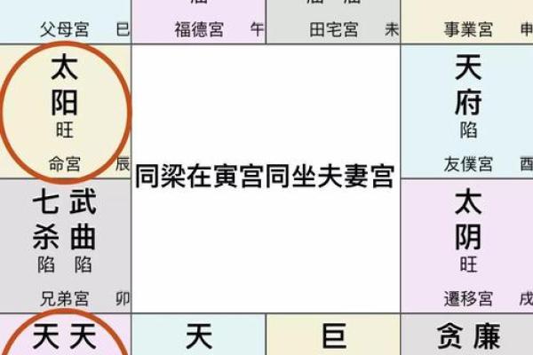 夫妻宫解析揭秘婚姻运势与命理奥秘 夫妻宫解析揭秘婚姻运势与命理奥秘