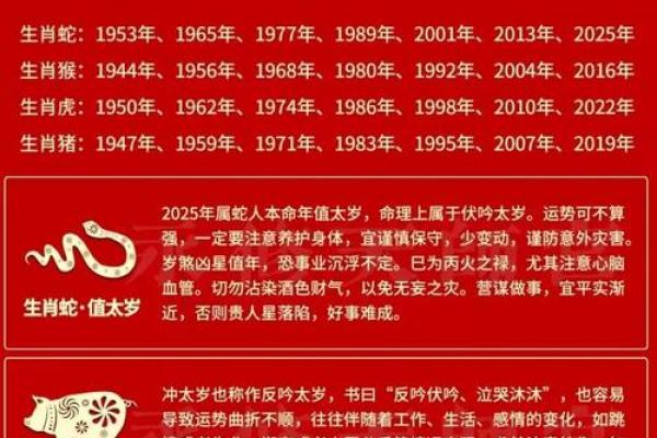 2025蛇年属鸡人全年运势解析机遇与挑战并存 2025蛇年属鸡人全年运势解析机遇与挑战并存