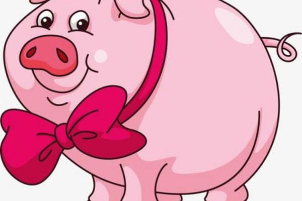 2007年属猪人的命 2007年属猪人命理解析运势性格与未来展望 2007年属猪人的命 2007年属猪人命理解析运势性格与未来展望