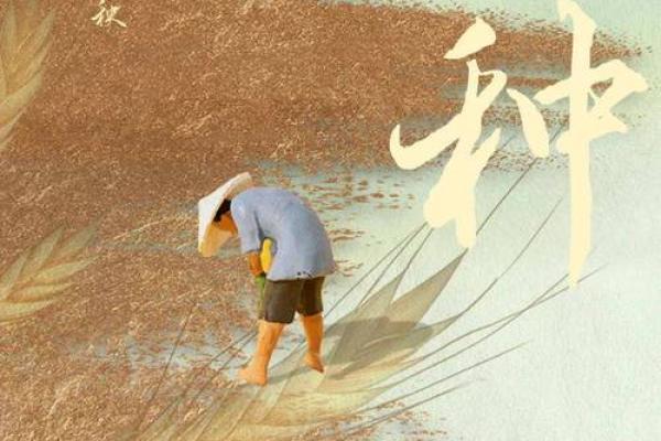 2020年芒种 2020年芒种