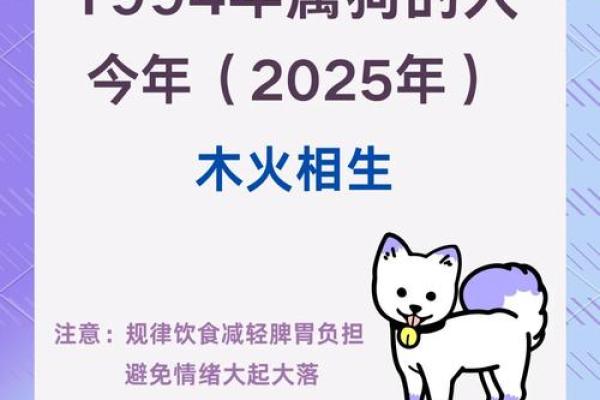 2025年属狗的运气 2025年属狗运势详解财运事业感情全解析