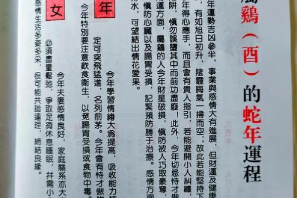 2025年鸡年运势_2025年鸡年运势详解财运事业爱情全解析 2025年鸡年运势_2025年鸡年运势详解财运事业爱情全解析