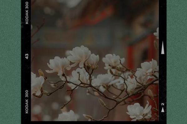 缘分让我们相遇一段奇妙的情感旅程