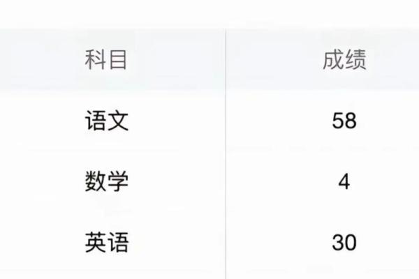 2019年高考成绩查询时间
