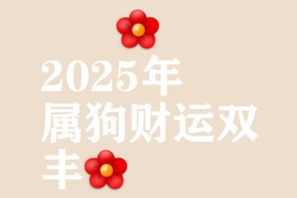 2025年对属狗的人好不好 82年属狗人42岁过七劫 2025年对属狗的人好不好 82年属狗人42岁过七劫