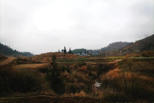 4月2号动土好吗