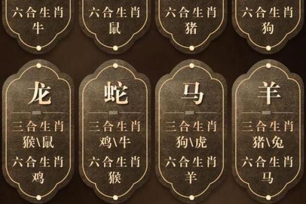 声东击西打一正确生肖动物(声东击西指什么动物生肖) 声东击西打一正确生肖动物(声东击西指什么动物生肖)