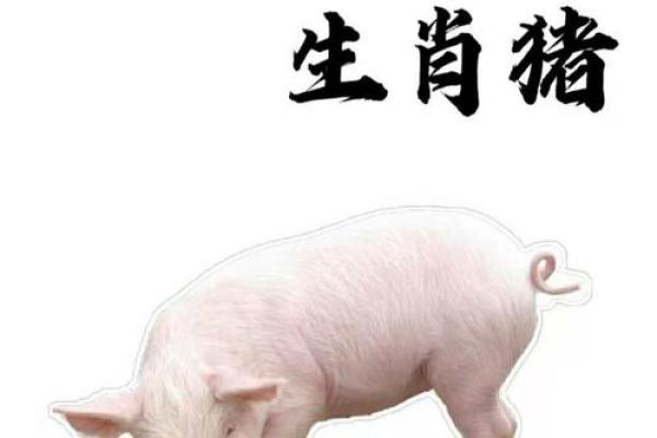 1996年属鼠女孩姻缘解析命中注定的爱情运势