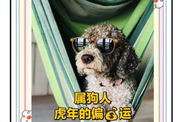 属狗明天横财偏财运 属狗明天横财偏财运好吗